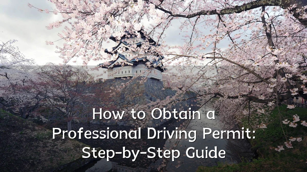 How to Obtain a Professional Driving Permit: Step-by-Step Guide