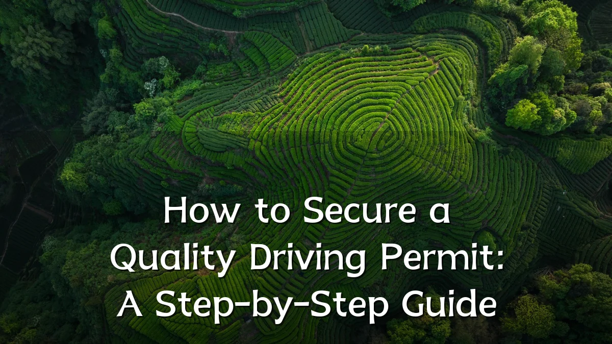 How to Secure a Quality Driving Permit: A Step-by-Step Guide