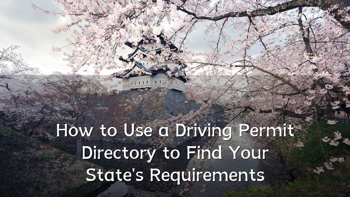 How to Use a Driving Permit Directory to Find Your State's Requirements