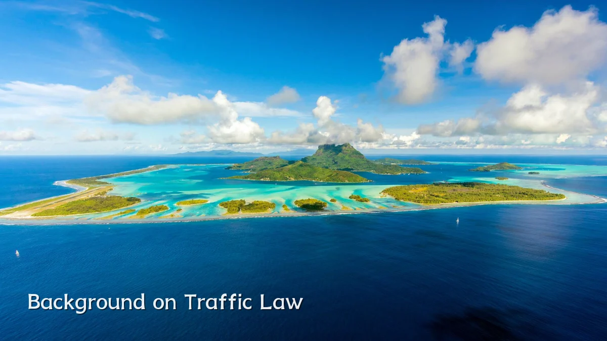 Background on Traffic Law