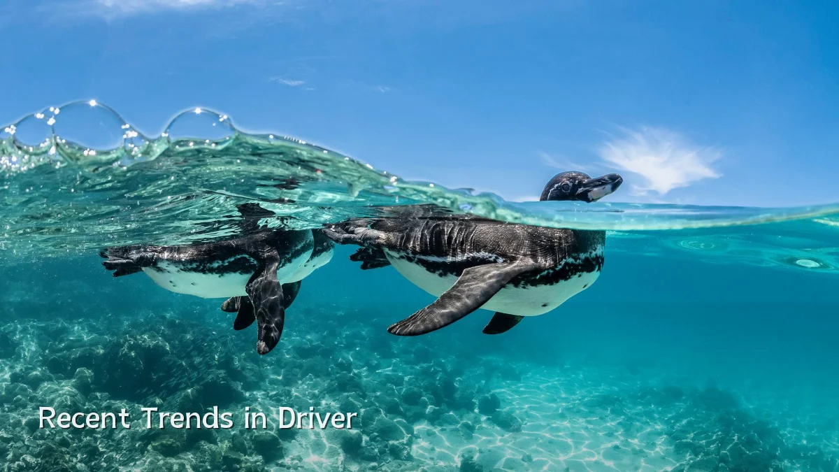 Recent Trends in Driver