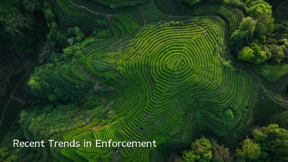 Recent Trends in Enforcement