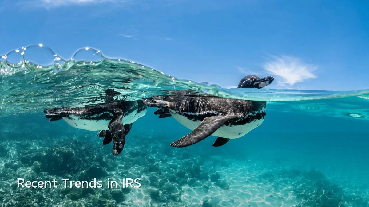 Recent Trends in IRS
