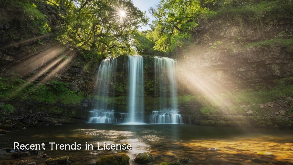 Recent Trends in License