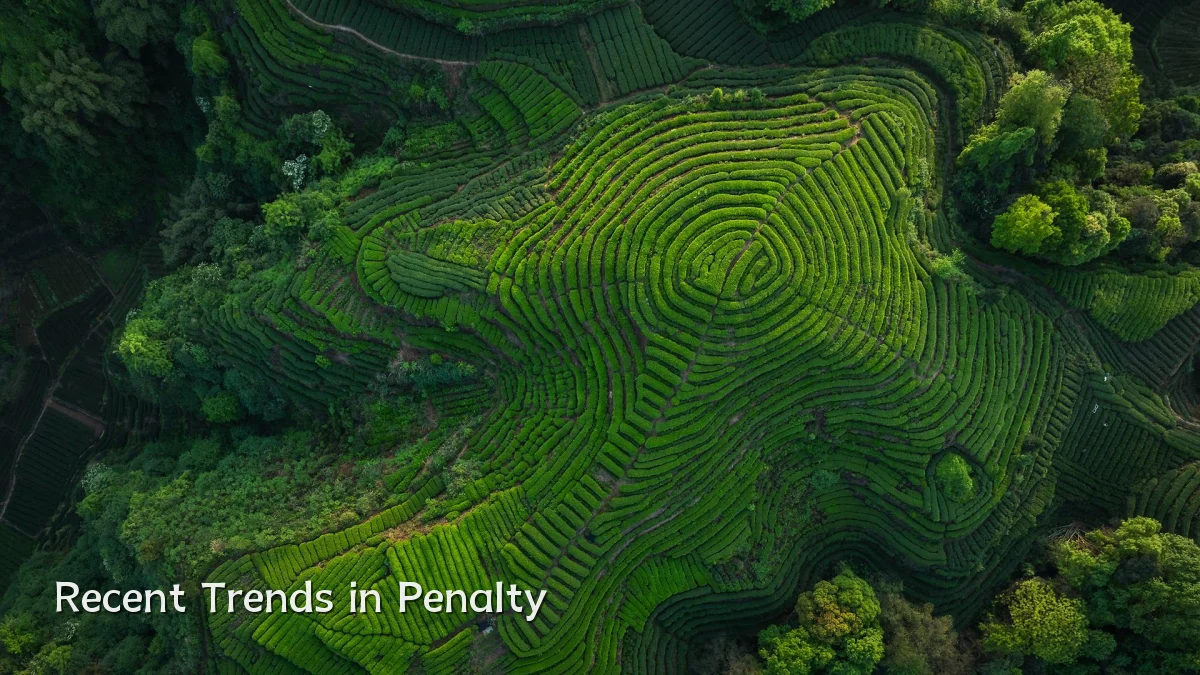Recent Trends in Penalty