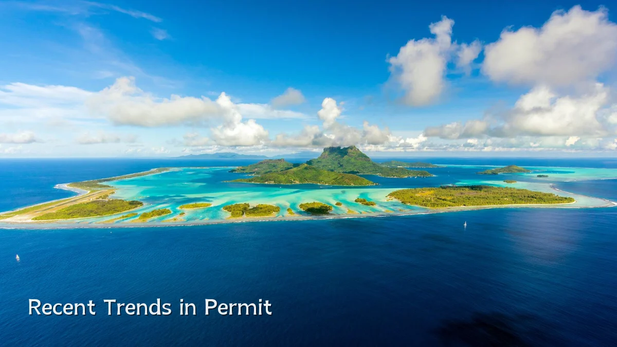 Recent Trends in Permit