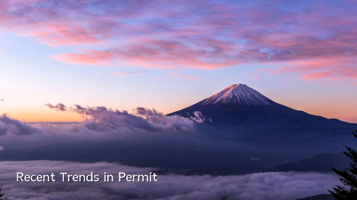 Recent Trends in Permit