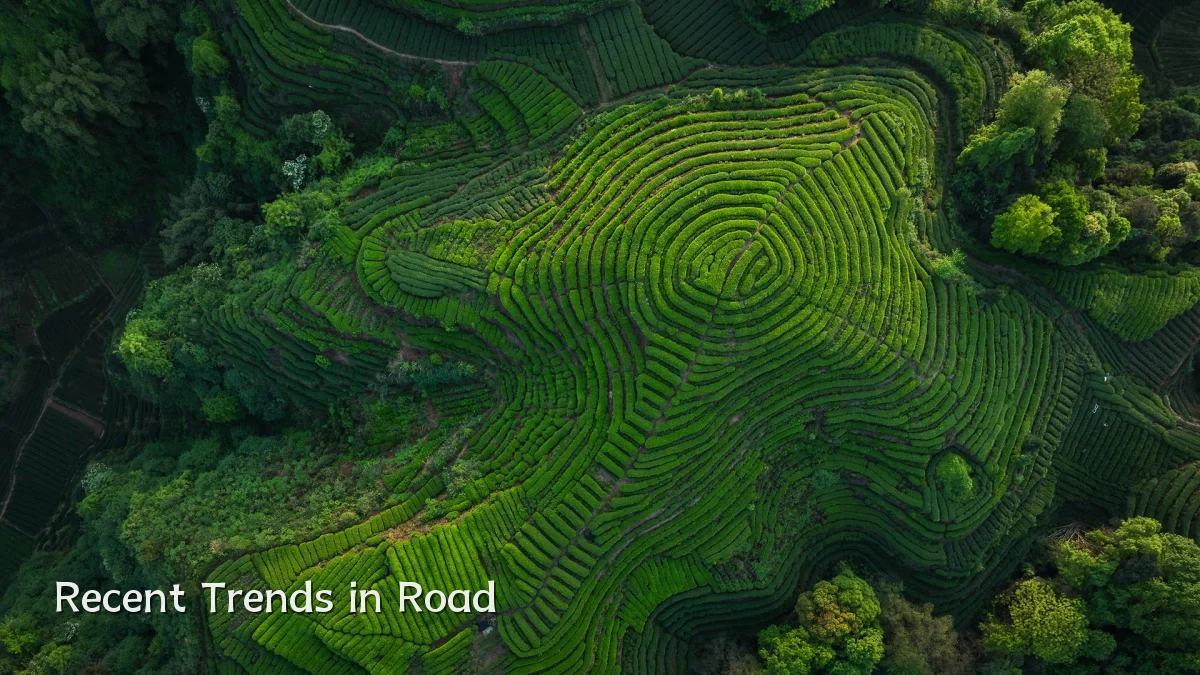 Recent Trends in Road