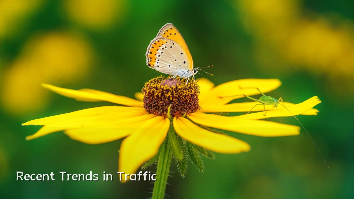 Recent Trends in Traffic