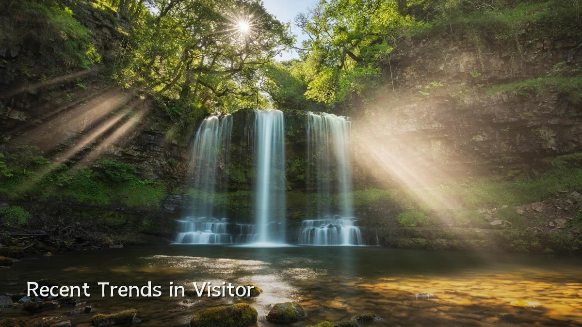Recent Trends in Visitor