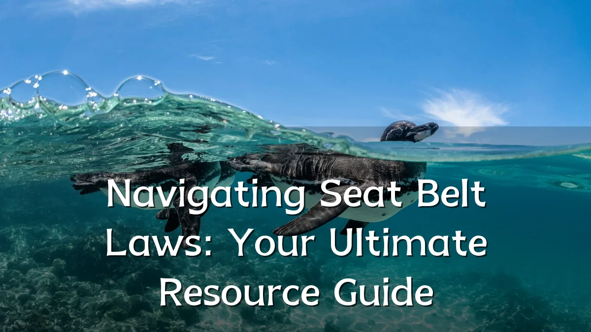 Navigating Seat Belt Laws: Your Ultimate Resource Guide