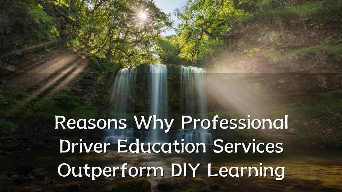 Reasons Why Professional Driver Education Services Outperform DIY Learning