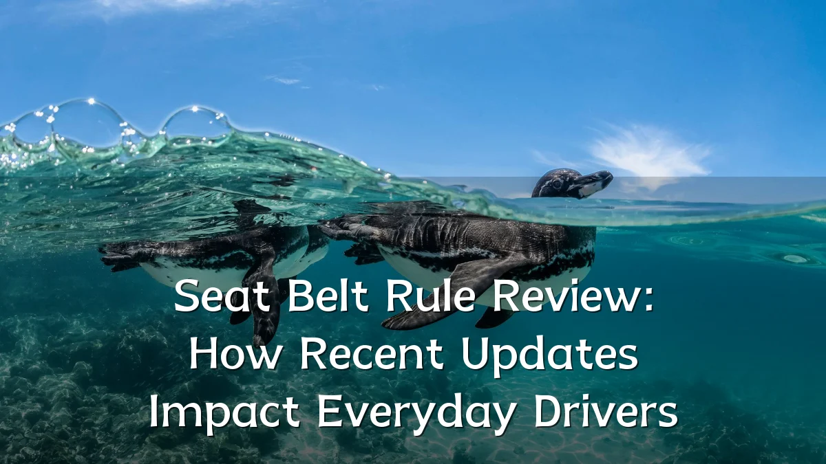 Seat Belt Rule Review: How Recent Updates Impact Everyday Drivers
