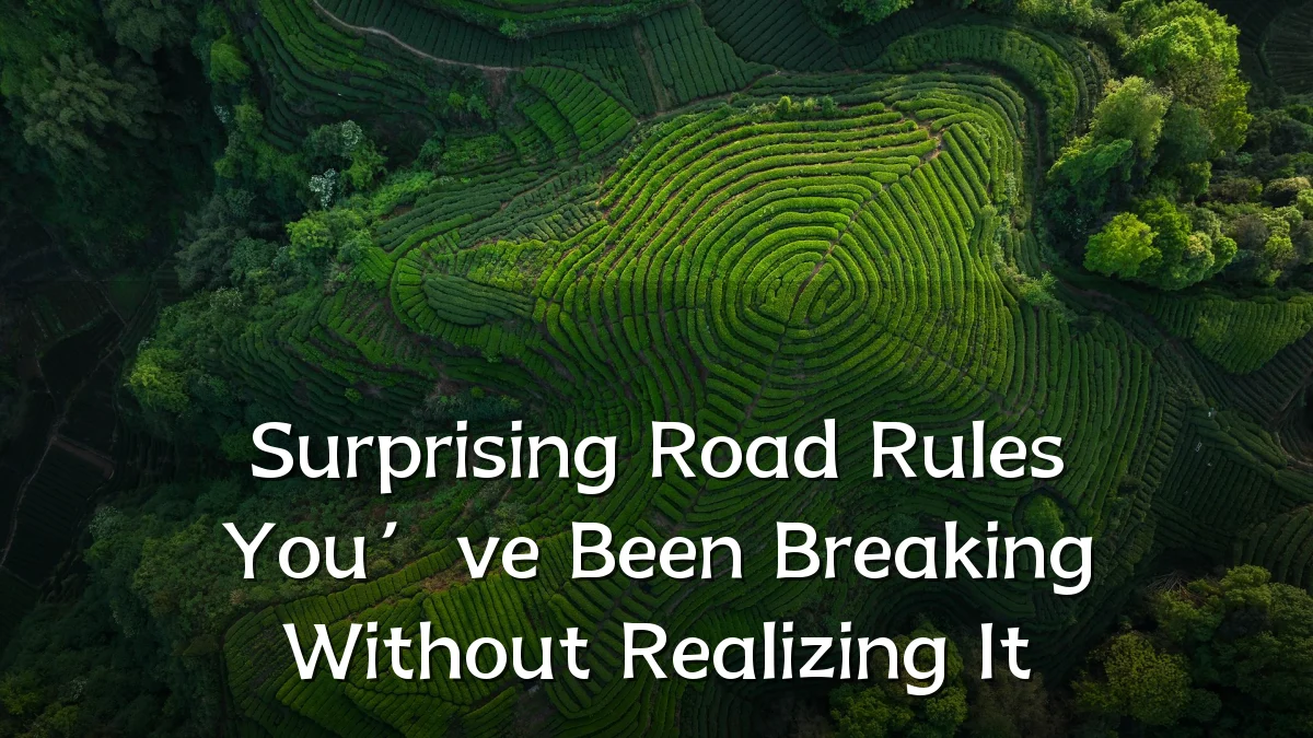 Surprising Road Rules You’ve Been Breaking Without Realizing It