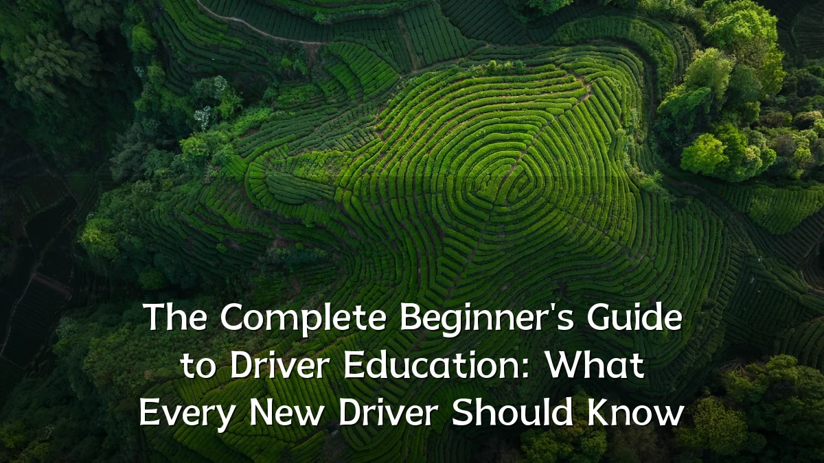The Complete Beginner's Guide to Driver Education: What Every New Driver Should Know