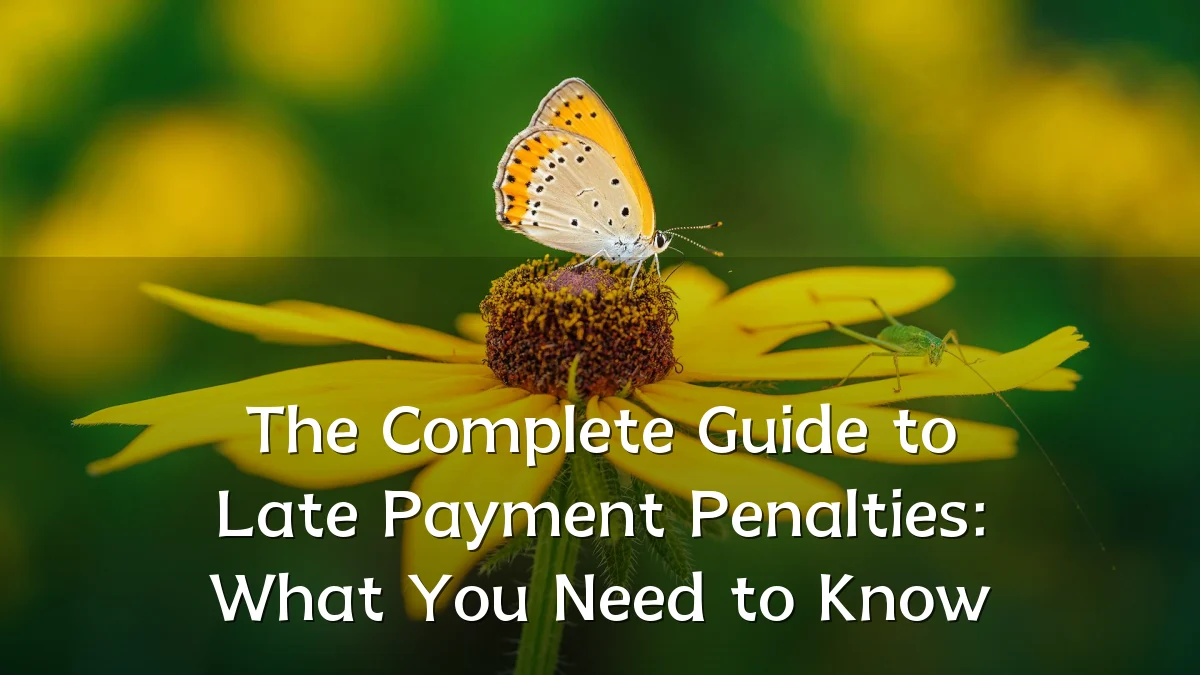 The Complete Guide to Late Payment Penalties: What You Need to Know