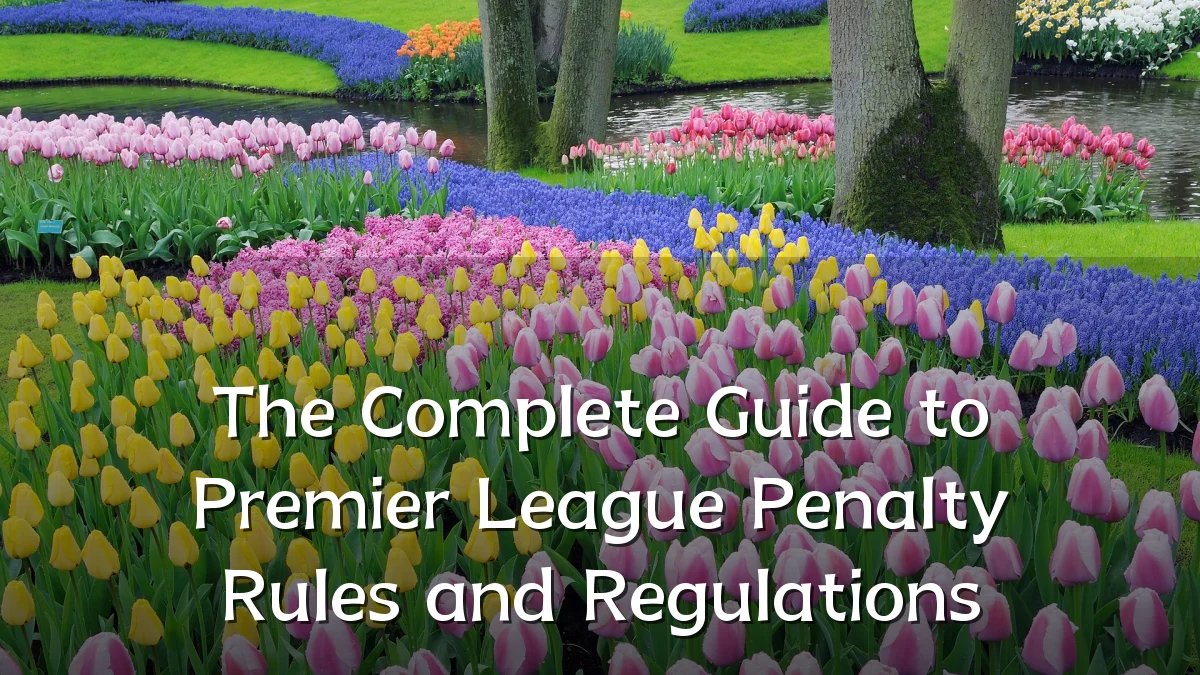 The Complete Guide to Premier League Penalty Rules and Regulations