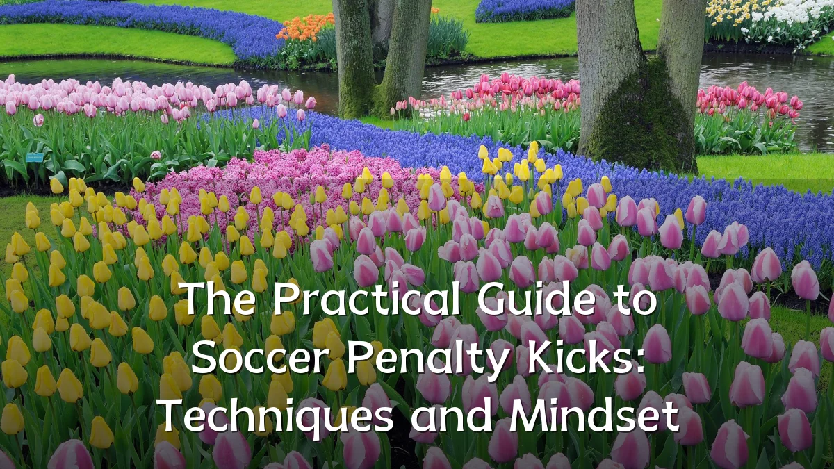 The Practical Guide to Soccer Penalty Kicks: Techniques and Mindset