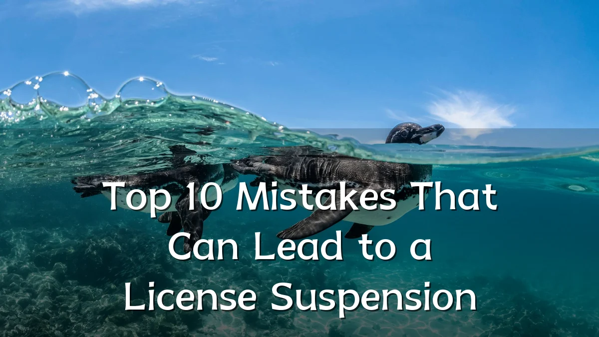 Top 10 Mistakes That Can Lead to a License Suspension