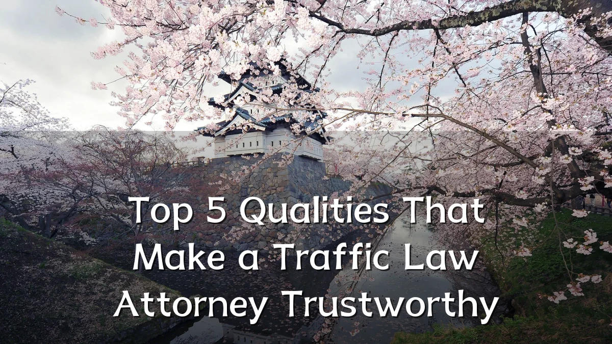Top 5 Qualities That Make a Traffic Law Attorney Trustworthy