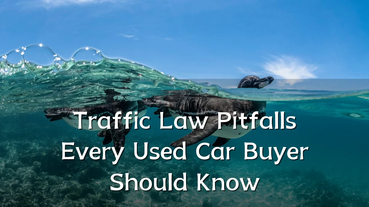 Traffic Law Pitfalls Every Used Car Buyer Should Know