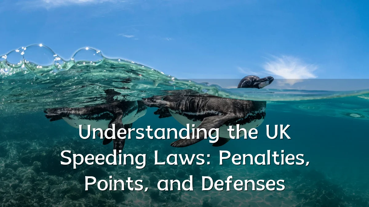 Understanding the UK Speeding Laws: Penalties, Points, and Defenses