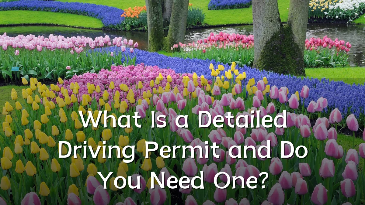 What Is a Detailed Driving Permit and Do You Need One?