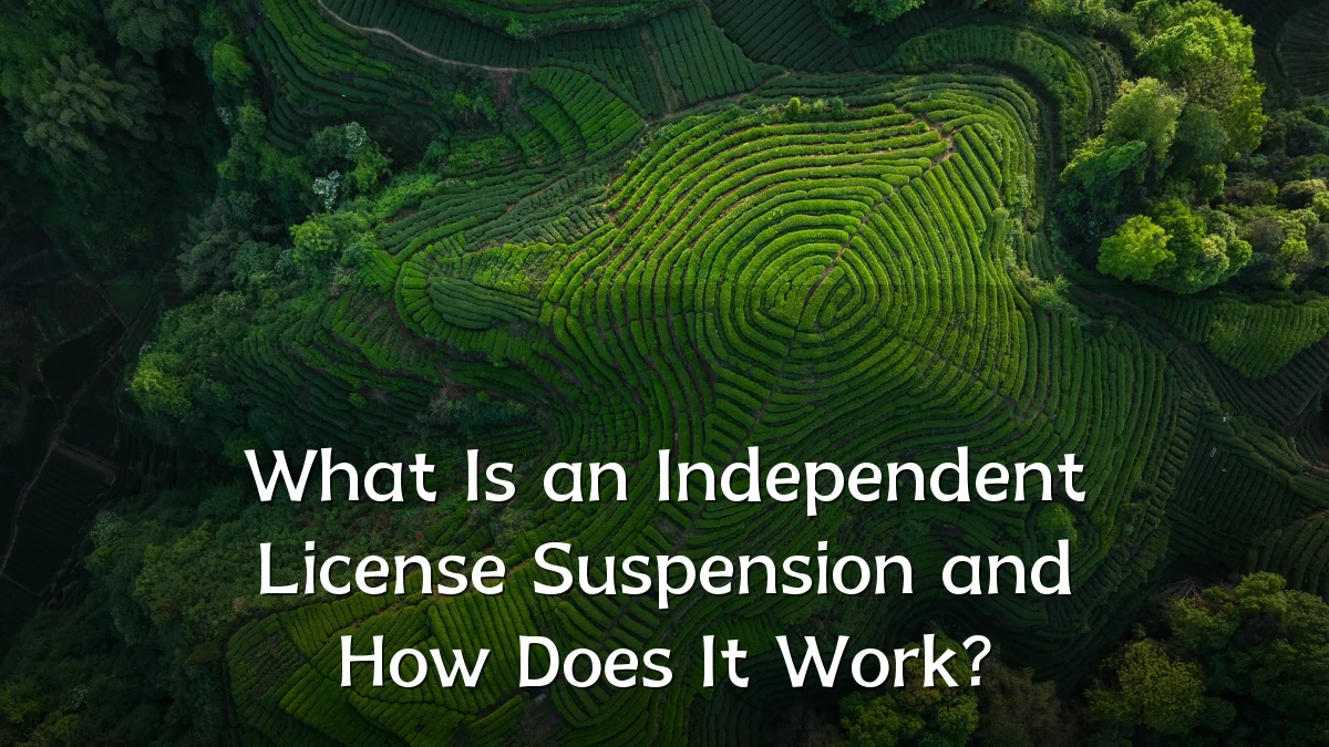 What Is an Independent License Suspension and How Does It Work?