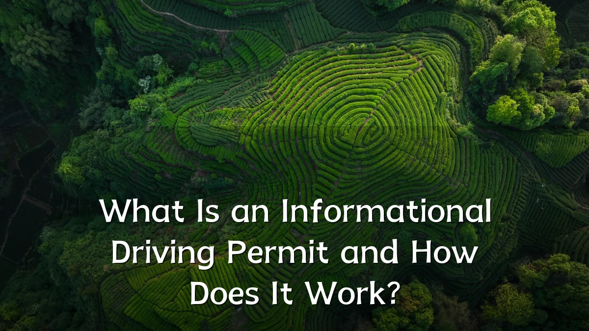 What Is an Informational Driving Permit and How Does It Work?