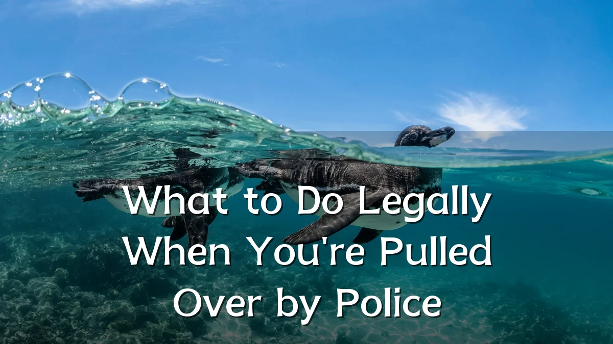 What to Do Legally When You're Pulled Over by Police