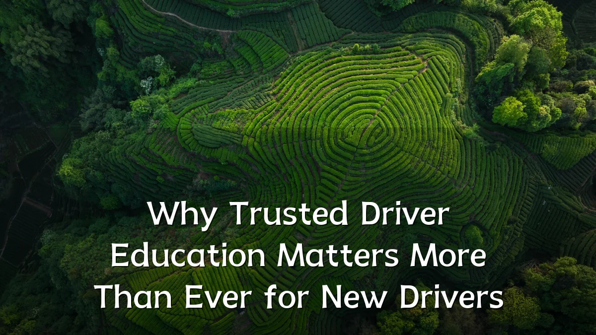 Why Trusted Driver Education Matters More Than Ever for New Drivers